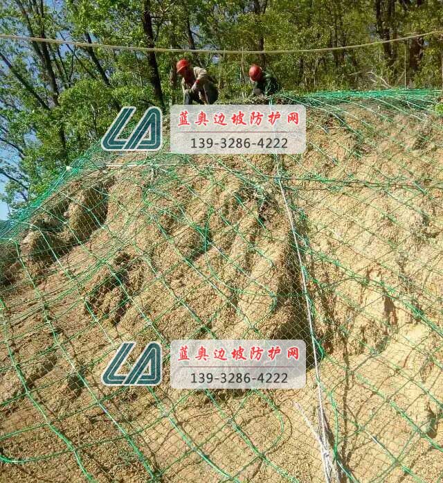 主動(dòng)防護(hù)網(wǎng)客土噴播 主動(dòng)防護(hù)網(wǎng)客土噴播